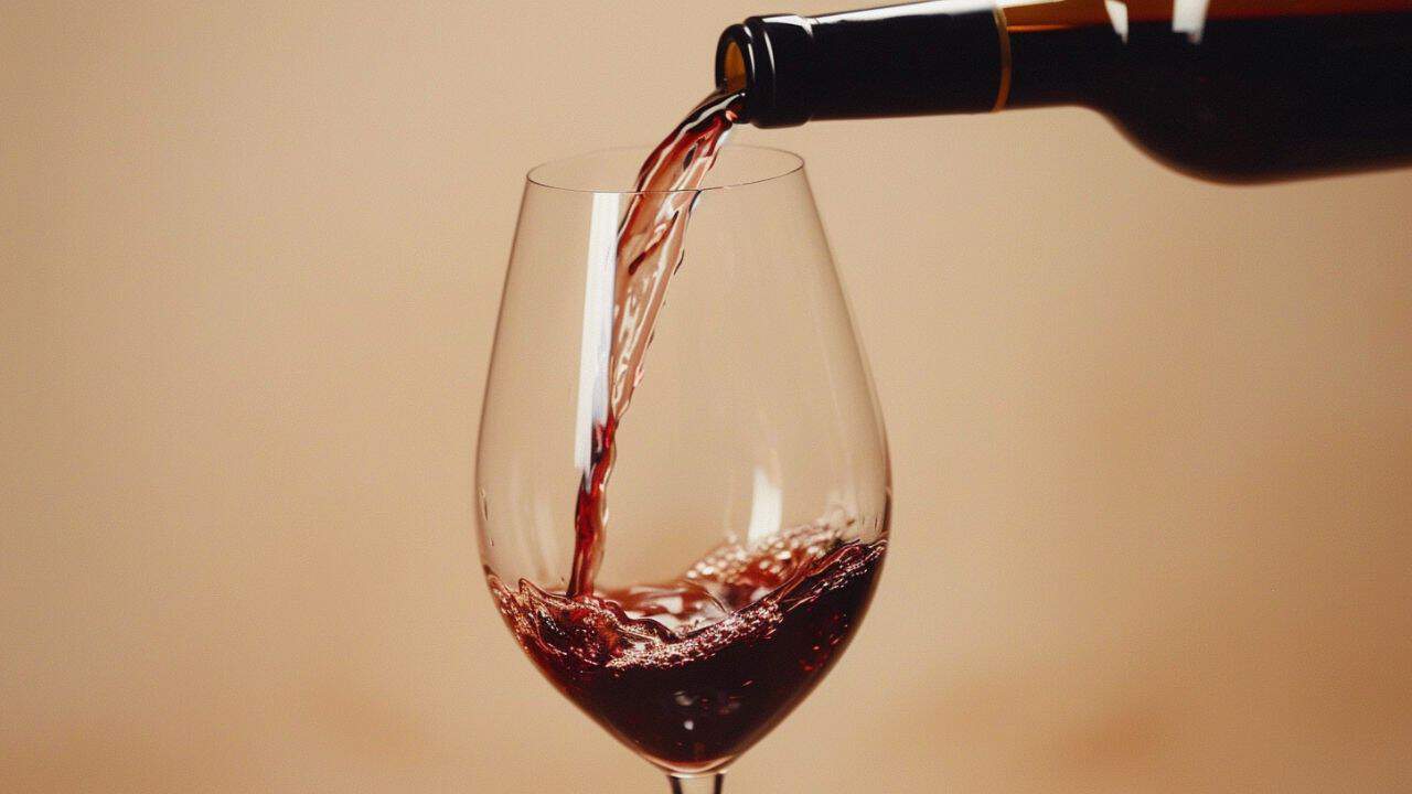 Bedste Rødvin 2026 | Top 7 ifølge os - Eksterne tests
